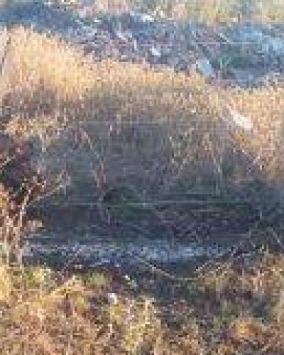 �Es evidente que nadie se preocupa por lo que pasa con la basura en Azul�