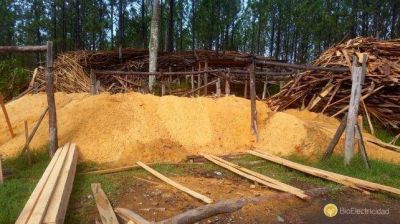 Invertir�n 42,5 millones de d�lares para generar energ�a con residuos madereros