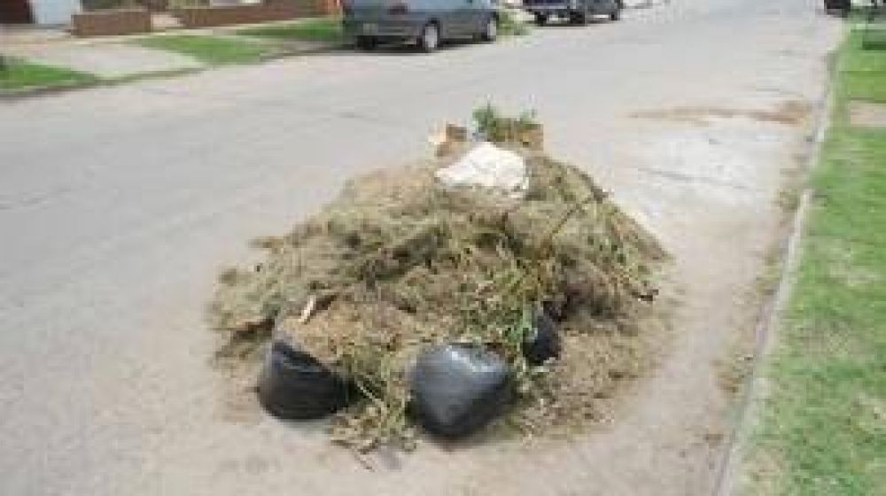 Quejas por la falta de recolecci�n de residuos y cortes de pasto en varios sectores la ciudad