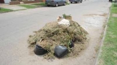 Quejas por la falta de recolecci�n de residuos y cortes de pasto en varios sectores la ciudad