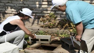 En siete barrios relevan las larvas de mosquitos