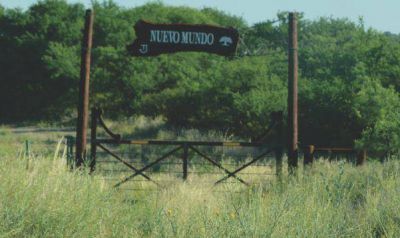 Se le quem� el campo al ministro Tierno