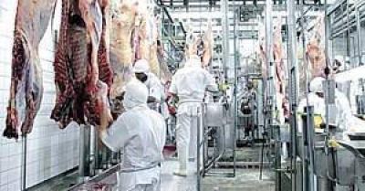Federación de la carne asegura que no hay lugar para la flexibilización