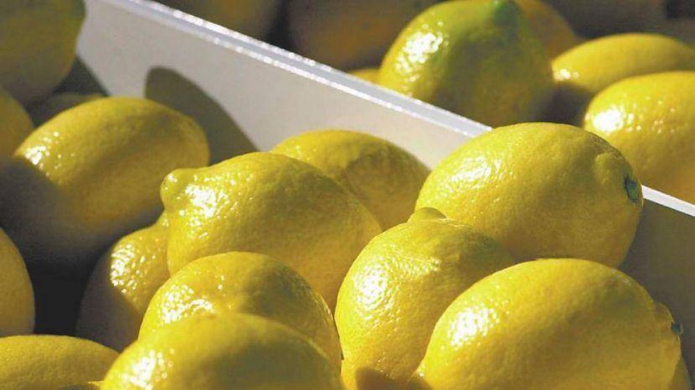 EE.UU. fren el acuerdo para comprar limones argentinos y puso en alerta a varios sectores