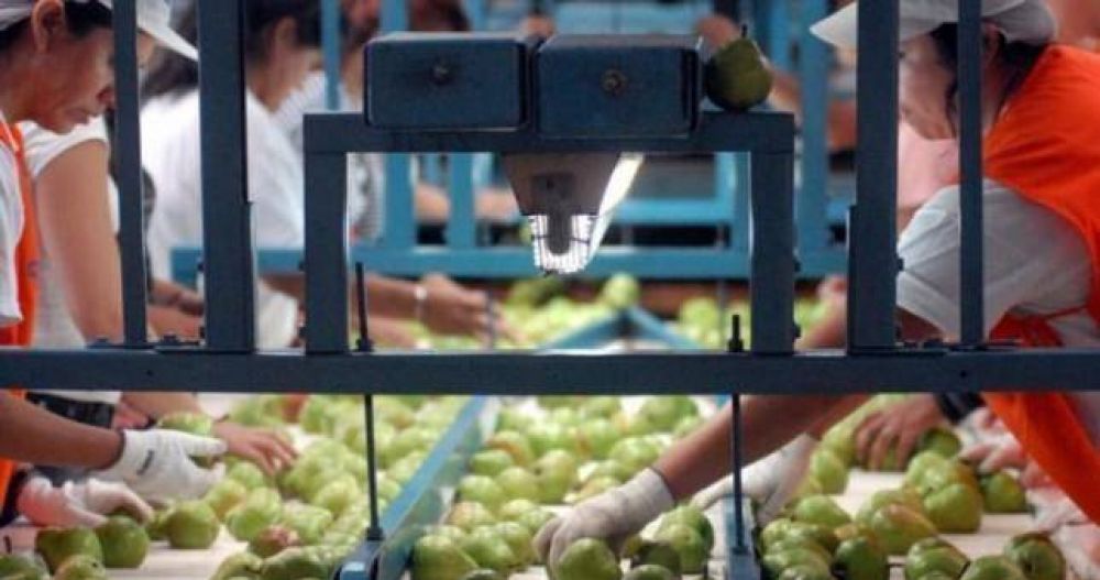Lejos del 18 que propone el Gobierno, fruticultores acordaron 35% en paritarias