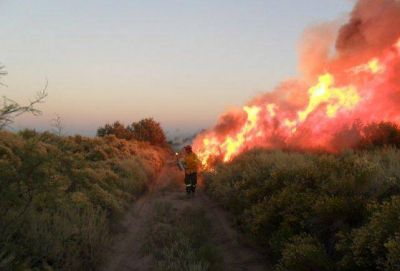 Siguen los incendios en Mendoza y van 45.000 hect�reas da�adas