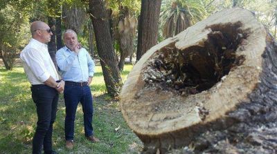 Comenzaron algunas obras en el Parque para mejorar su estado