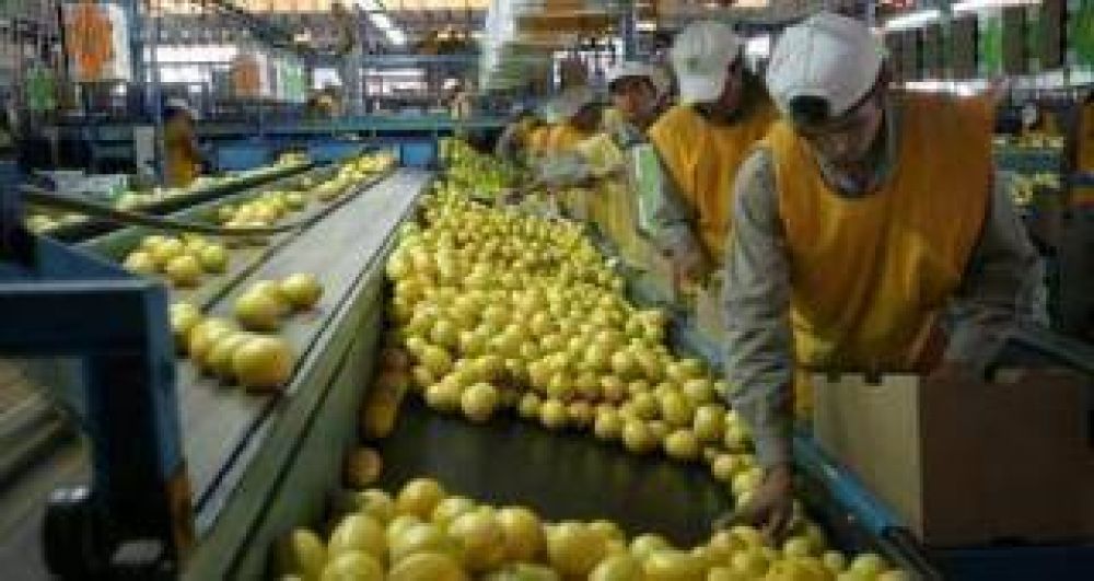 Trump suspendi por 60 das la importacin de limones de Argentina