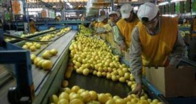 Trump suspendi� por 60 d�as la importaci�n de limones de Argentina