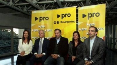 El PRO nacional intentar� consensuar una lista de unidad