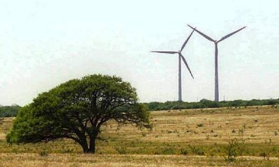 Parque e�lico en Acha: 60 millones de d�lares