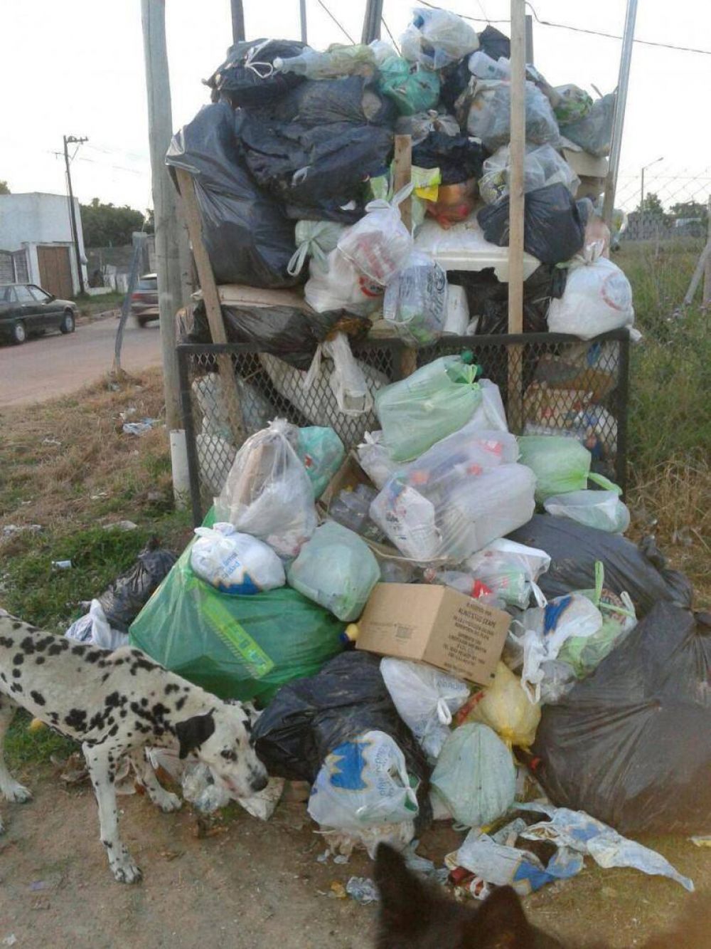 Vecinos del barrio Falucho 53 reclaman el servicio de recoleccin de residuos