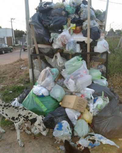 Vecinos del barrio Falucho 53 reclaman el servicio de recolecci�n de residuos