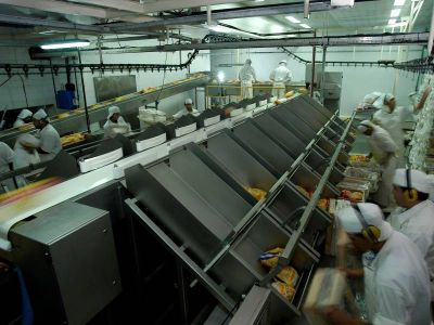 La cadena av�cola bonaerense empieza 2017 con sus n�meros en rojo