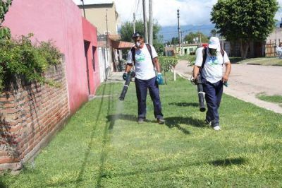 Servicio gratuito de desinfecci�n en la Capital