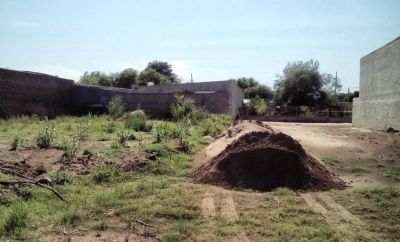 Desembarcan m�s s�per chinos en Santa Rosa y hay preocupaci�n en el comercio
