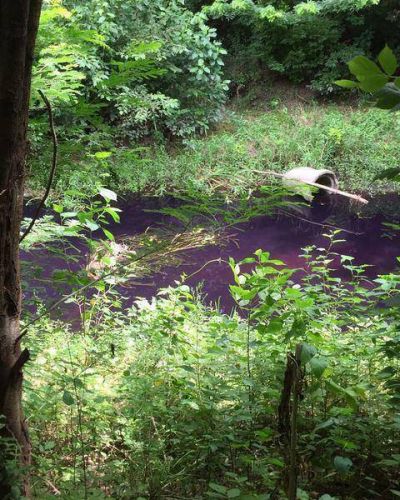 Preocupaci�n en Luj�n: El arroyo Guti�rrez amaneci� violeta