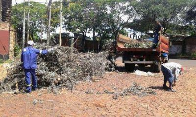 El municipio de Posadas busca reducir la creaci�n de minibasurales