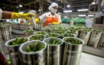 Saladillo: Lanzan AgroEmprende, un concurso de ideas de negocios