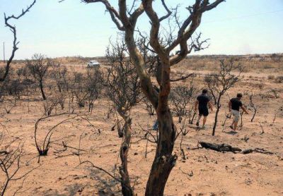 Desolaci�n en los campos de La Paz: se quemaron 80.000 hect�reas