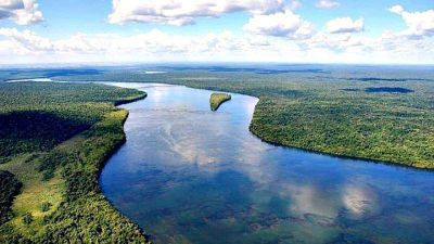 Especialistas argentinos revelan que toda la cuenca del Paran� est� contaminada con insecticidas