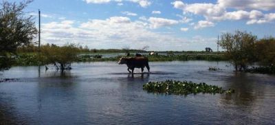 Se hacen relevamientos satelitales en Islas, Victoria y Gualeguay por posible pr�rroga de la emergencia agropecuaria 