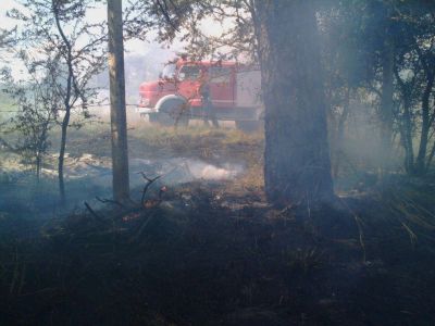 Incendio de pastizales en el Parque Lasa