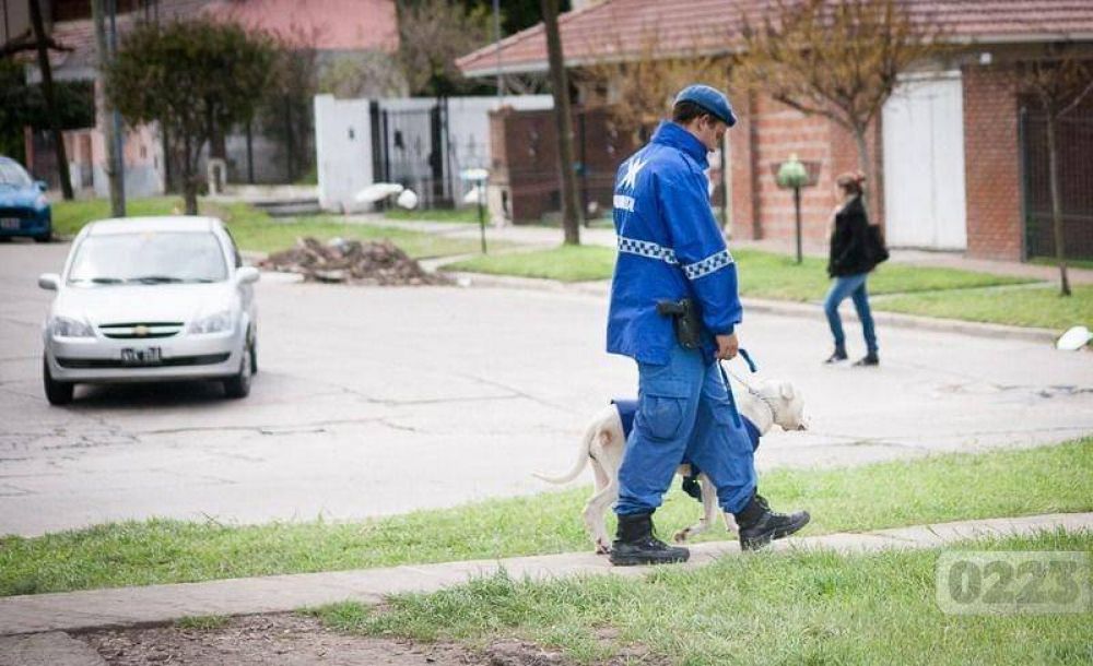 Desafectaron 19 policas locales de Mar del Plata
