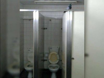 Rejas s�, ba�os no: Cuestionan a Vidal por no destinar fondos para reparar instalaciones del OPDS
