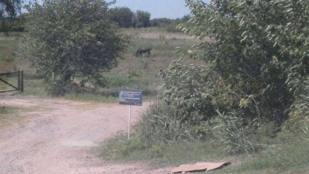 �Prohibido arrojar residuos!