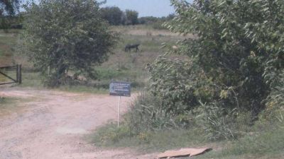 �Prohibido arrojar residuos!