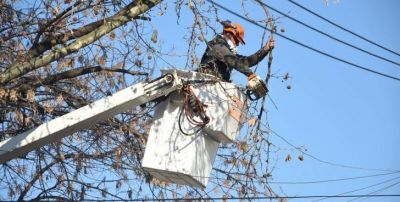 El Municipio contin�a recibiendo pedidos de poda