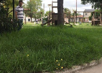 La Plata: Presentan proyecto para declarar la Emergencia en Espacios P�blicos