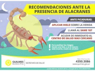 Recomendaciones a vecinos ante presencia de escorpiones