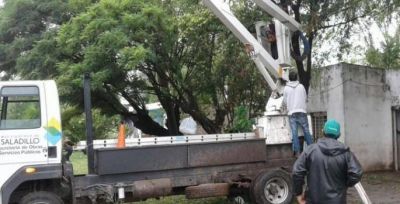 Todas las �reas municipales trabajando durante el temporal