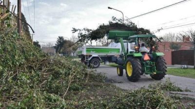 Cronograma de tareas generales de febrero