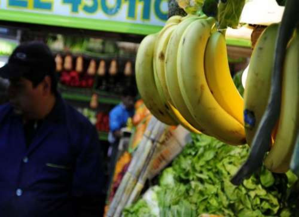 Productores salte�os piden que se proh�ba el ingreso de bananas bolivianas