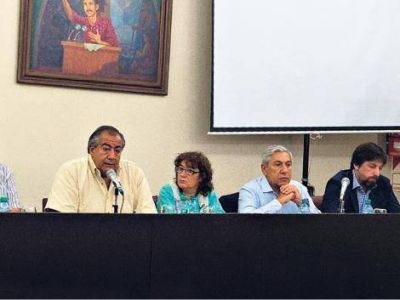 No se ven brotes ni punto de arranque
