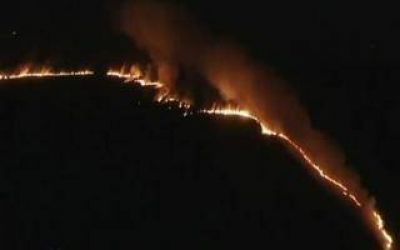 Incendio en la Reserva Ecol�gica de Punta Lara