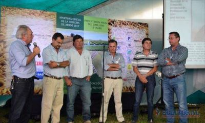 Cosecha de arroz: Colombi inst� a duplicar las hect�reas sembradas