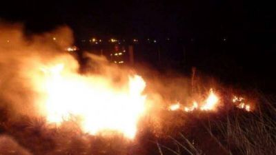 Importante incendio en la Reserva Natural de Punta Lara, humo en La Plata, Capital y el Conurbano