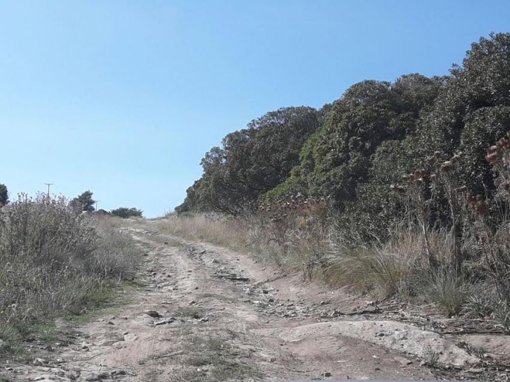 Dirigentes agropecuarios exigen mejoras de fondo en los caminos rurales de General Alvarado