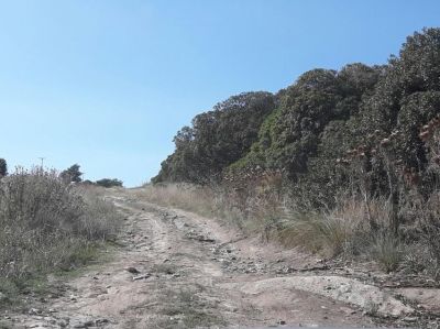 Dirigentes agropecuarios exigen mejoras de fondo en los caminos rurales de General Alvarado