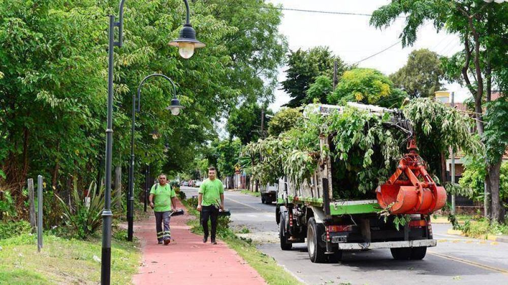 El Municipio contina realizando trabajos de poda correctiva en San Fernando