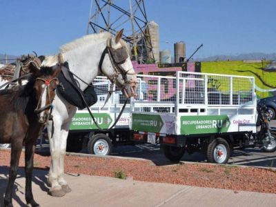 Recuperadores urbanos reciclan basura junto a vecinos de Godoy Cruz