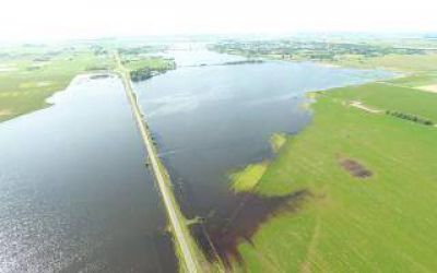 Por las inundaciones, declaran la emergencia agropecuaria en General Arenales