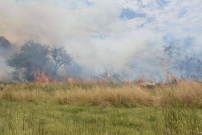 Declararon la emergencia agropecuaria en La Pampa por los incendios