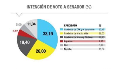 Encuesta de Analog�as vaticina un triunfo del candidato del peronismo
