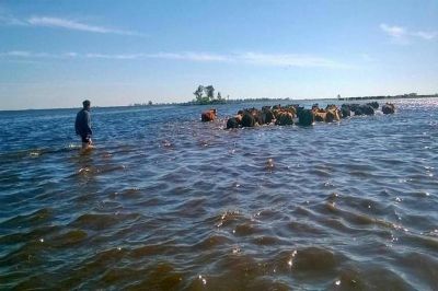 Iniundaciones: Unos 50 productores juninenses accedieron a la emergencia