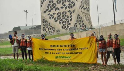 Greenpeace reclamó frente al Panal por la ley de bosques